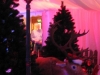 christmas-themed-event-manager-cork-18